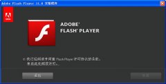 ý򲥷Adobe Flash Player for IE V11.6.602.171