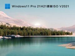 ΢Win11רҵ_Windows11 X64 Pro 21H2(10.0.22000.51)ԭISOV20
