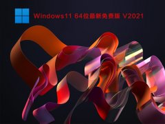 ΢Windows11ԭ澵_Windows11 64λʽV2021
