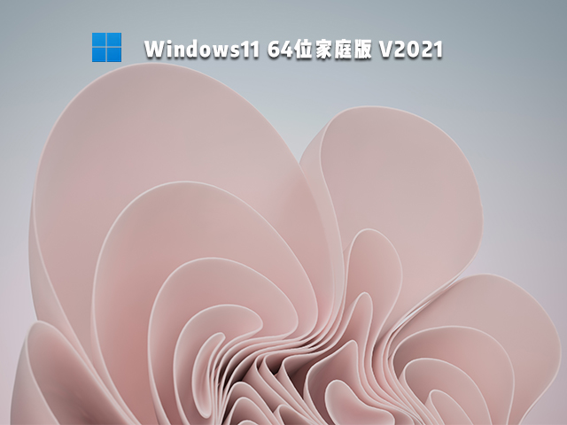 Win11ͥ_Windows11 64λͥ