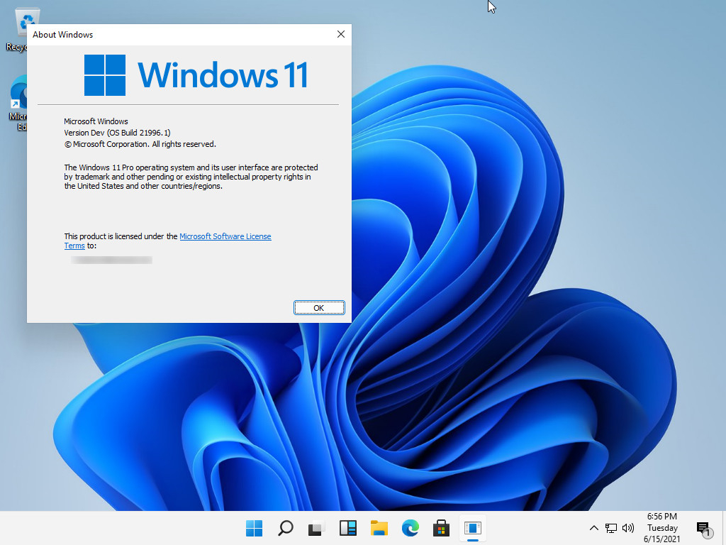 Windows11 ͥİ氲װ V2021