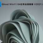 Ghost Win11רҵ_Ghost Win11 64λרҵ澵⼤V2021.07
