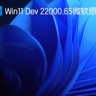 Win11 22000.65微软原版镜像下载_Win11 Dev 22000.65简体中文版下载V2021