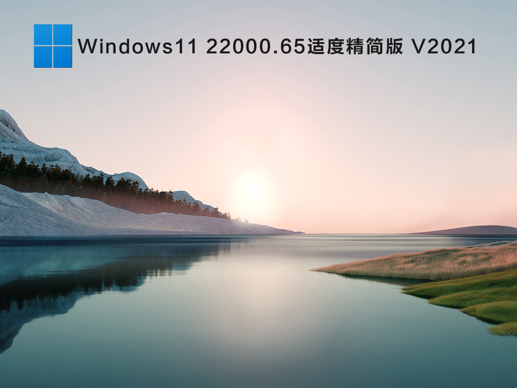 Windows11 22000.65ʶȾ V2021