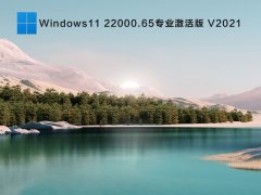 Windows11ԭ澵ļ_Windows11 22000.65רҵV2021