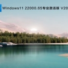 Windows11ԭ澵ļ_Windows11 22000.65רҵV2021