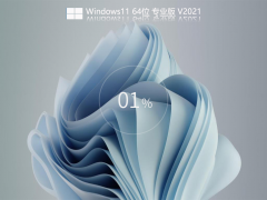 Windows11 22000.120רҵ澵_ȫWindows11 Build 22000.120İ