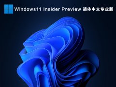 Windows11ļ_Windows11 Insider Preview 10.0.22000.51ר