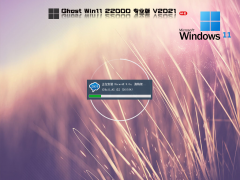 ΢Windows 11 Insider Preview Build