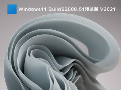 Windows11Ԥ_΢Windows11 Build22000.51ԤV2021