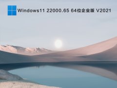 ΢Windows11ٷԭ澵_Windows11 22000.65 64λҵV2021