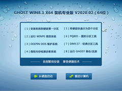 GHOST WIN8.1 X64 װרҵ V2020.02