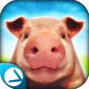小猪模拟器游戏下载_小猪模拟器破解版
